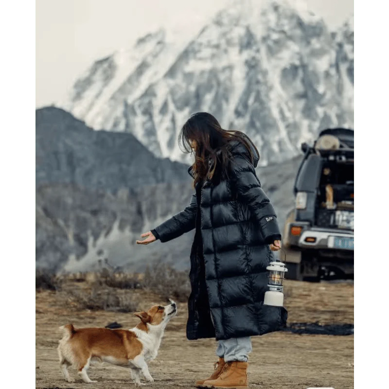 Person in a long black puffer coat with a dog in a mountainous area